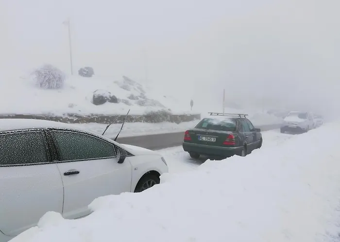 Park Monte Gorbea 塞拉内华达