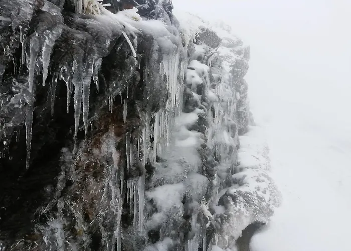 Apartamento Park Monte Gorbea